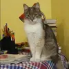 Отзыв от Алла Королькова